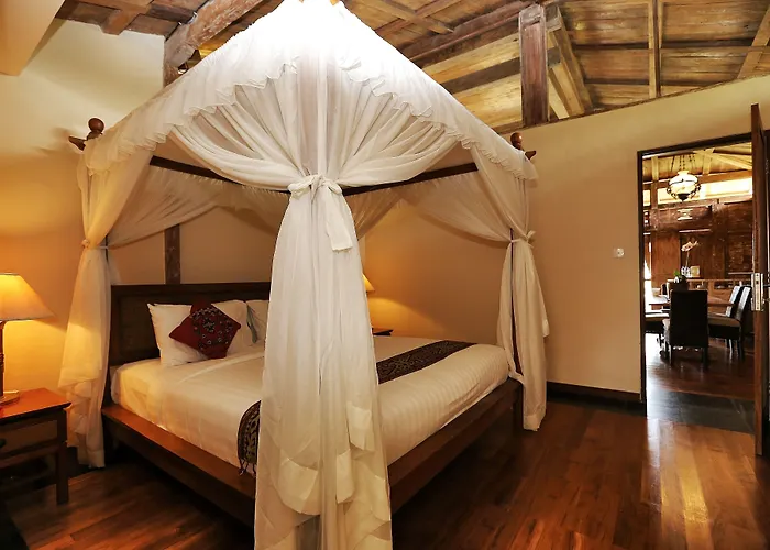 The Sanyas Retreat